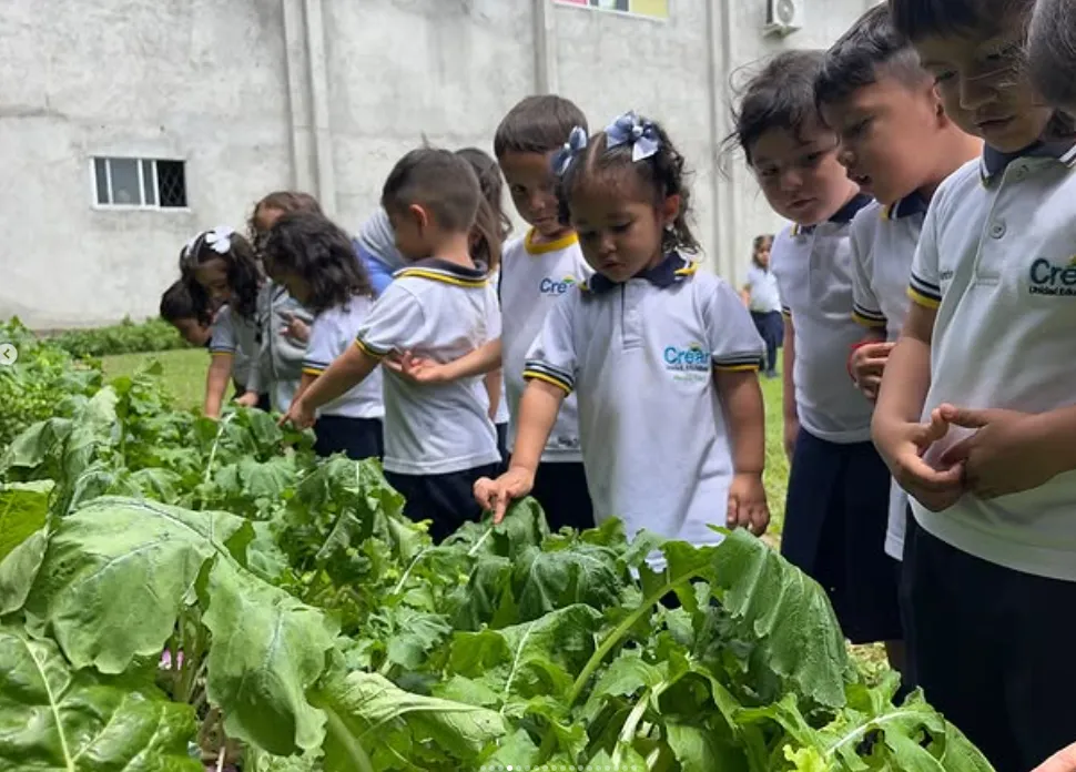 Preschool children learning